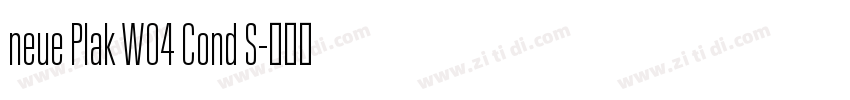 neue Plak W04 Cond S字体转换